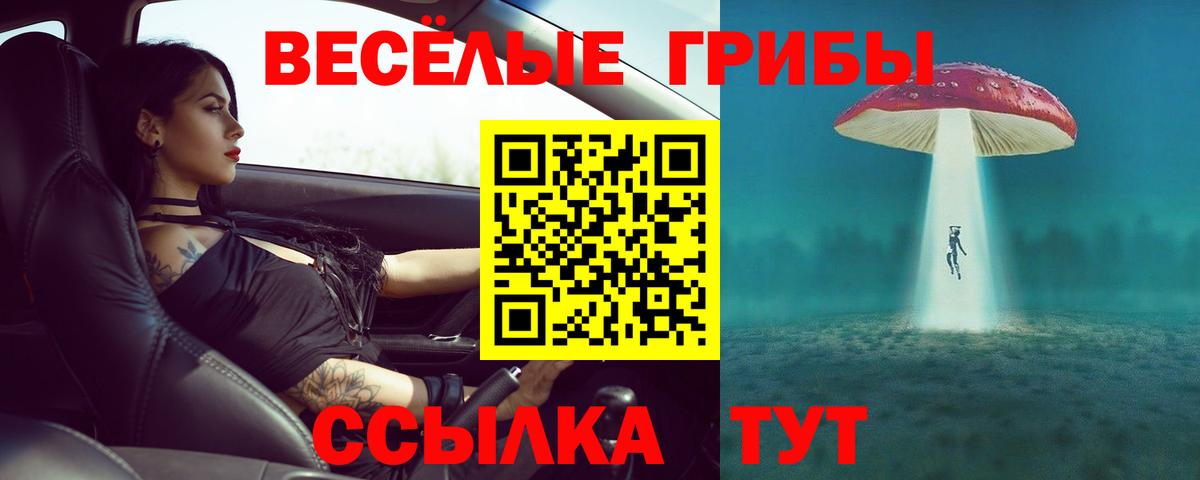 Еманжелинск  Псилоцибиновые грибы мухоморы  Вход с VPN  Псилоцибиновые грибы прущие грибы 